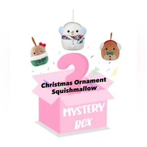 4/$20 Christmas Squishmallow Ornament Mystery Box
(Read Description)